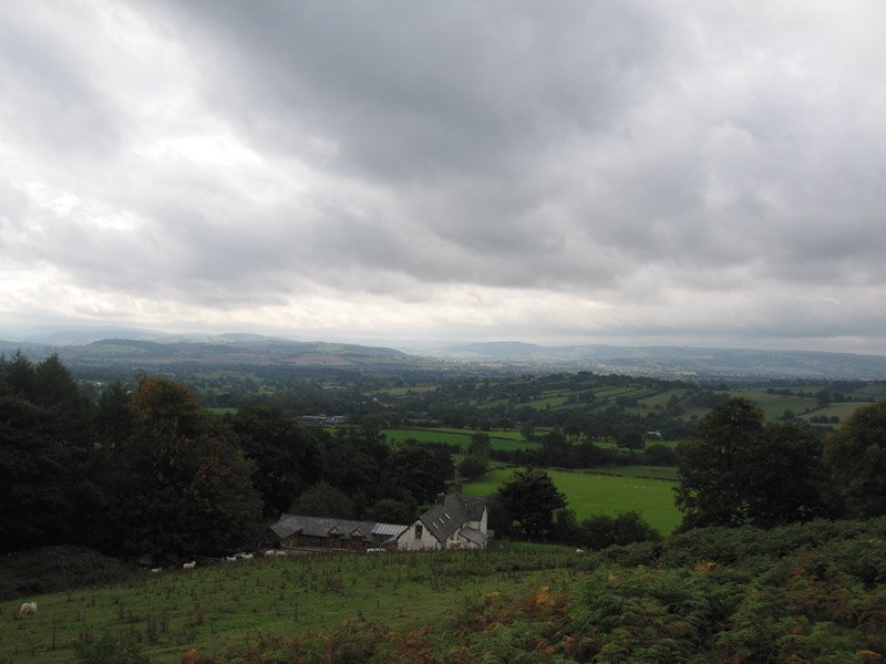 the view from the hills behind the house
