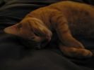 2006_1122_155429AA.JPG