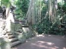 2006_1119_145608AA.JPG