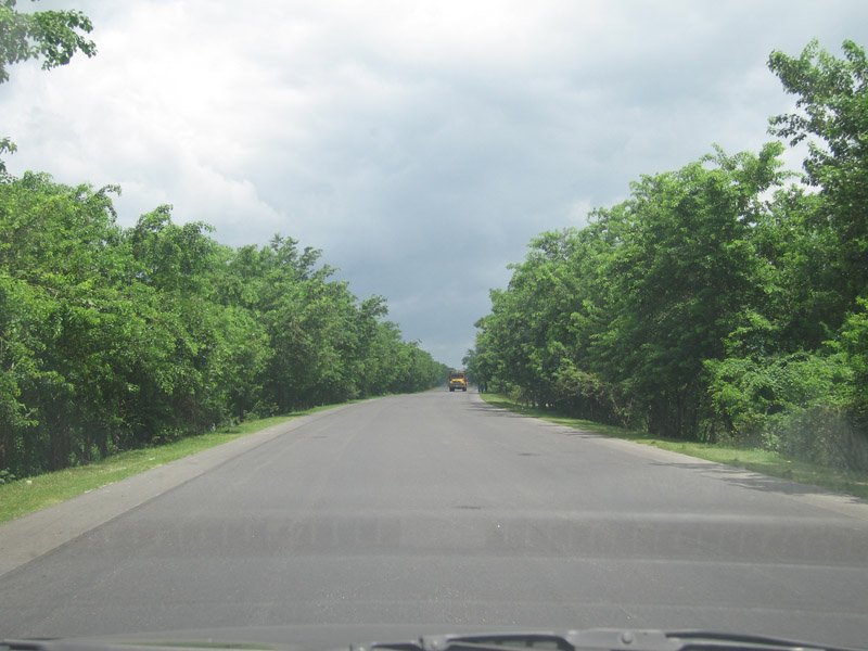 the highway
