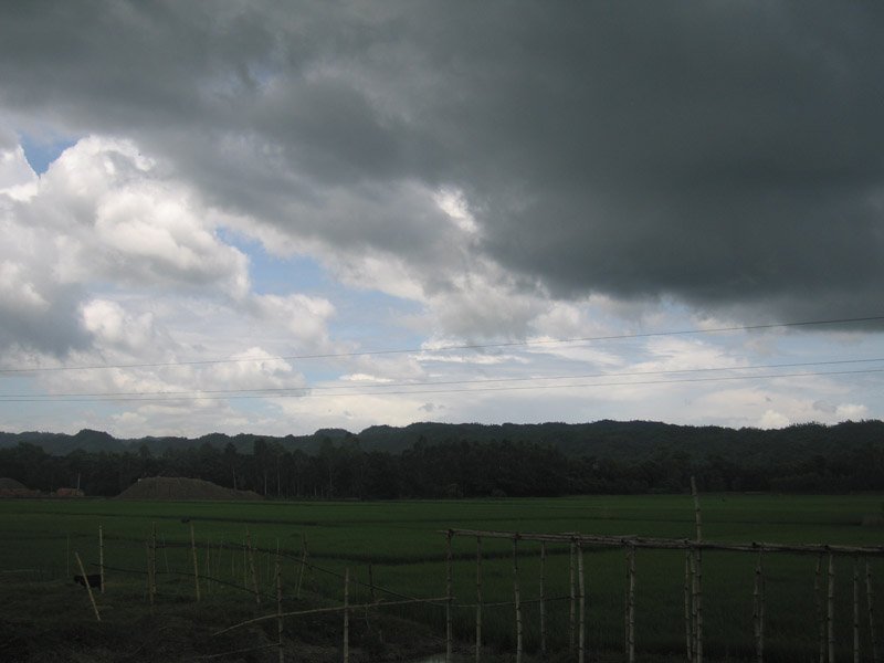 dark heavy monsoon clouds gathering.  look at the little goat hanging out by itself in the corner
