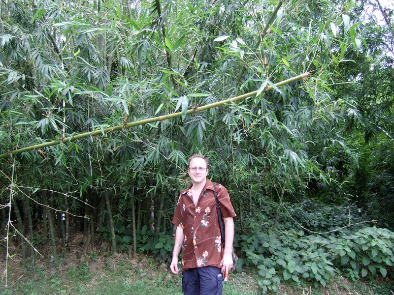 Chuck in front of a bamboo grove
