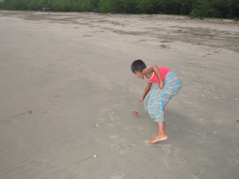 the kids could let the crab go, then catch it again, and avoid the one huge pincer.
