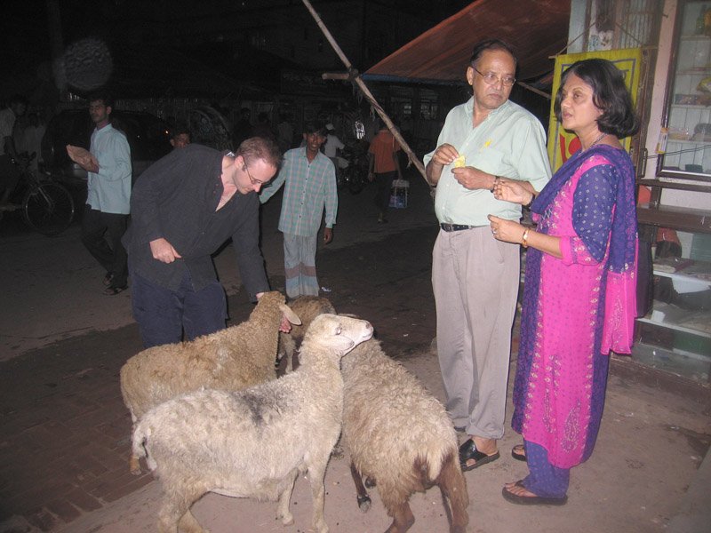 crazy bideshi (non-bangladeshi) Chuck feeding sheep peanuts, while we walk around the shops in town at night.
