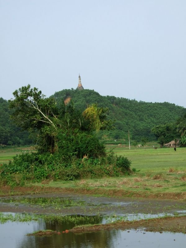 old abandoned temple on a hill in the distance. we tried to get to it, but the road stopped, and there was a very steep climb up a hill, so we passed.
