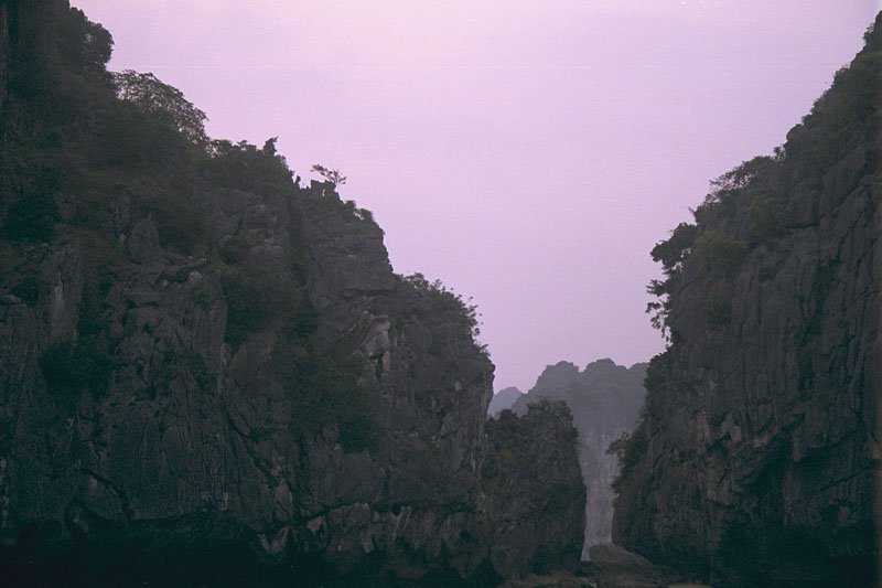 IMG0171.jpg