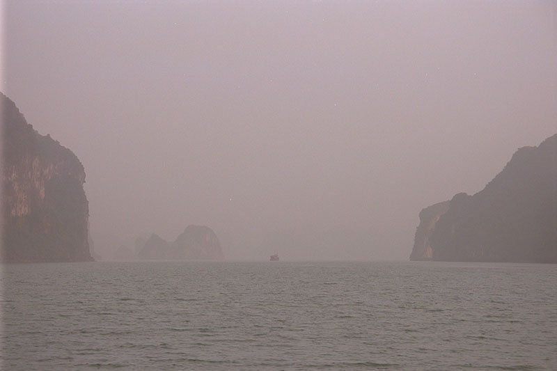 IMG0317.jpg