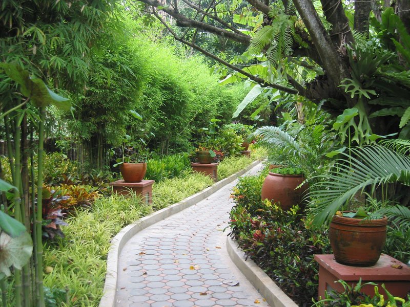 the lush tropical gardens at princess village
