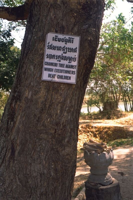 at the Killing Fields - that's a pile of human bones at the base of the tree

