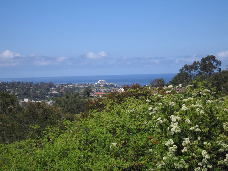 in La Jolla - look at the Pacific!
