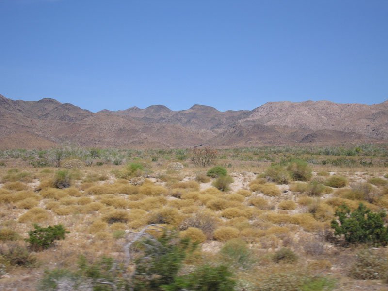 Joshua Tree national park
