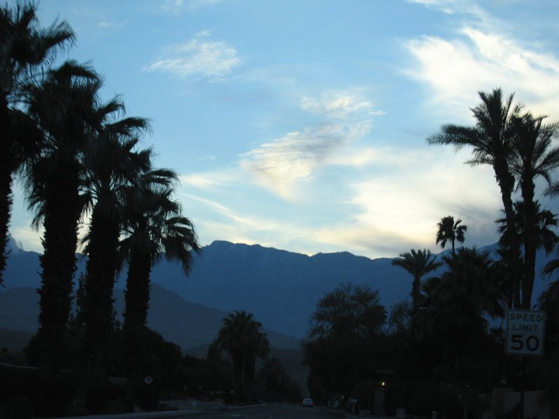 goodbye palm springs

