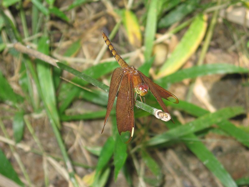 2006_0815_114506AA.JPG