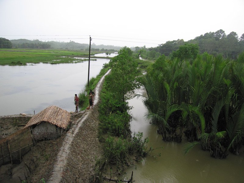 young village boys standing on the narrow walkway. those are gigantic palm trees growing in the water on the right side.  this is one of our favourite photos
