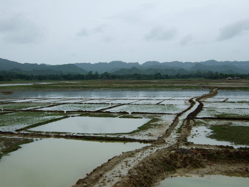 Teknaf is on the southernmost tip of Bangladesh, on a narrow strip of land with the Bay of Bengal on one side and the Naaf River on the other. The Naaf river forms the border between Bangladesh and Burma
