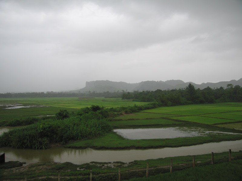 one last look at our amazing hidden valley in Teknaf
