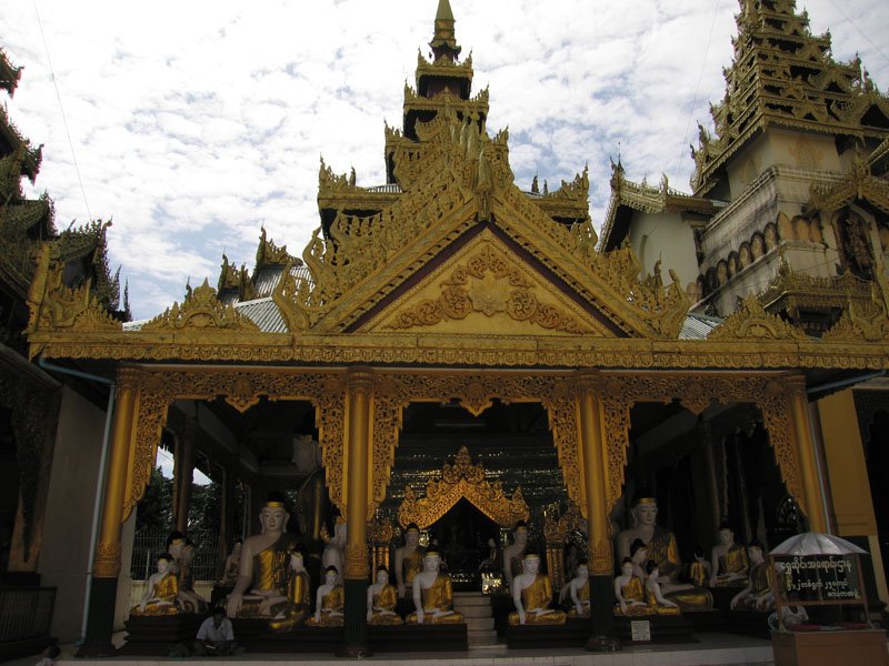 many many buddhas meditating
