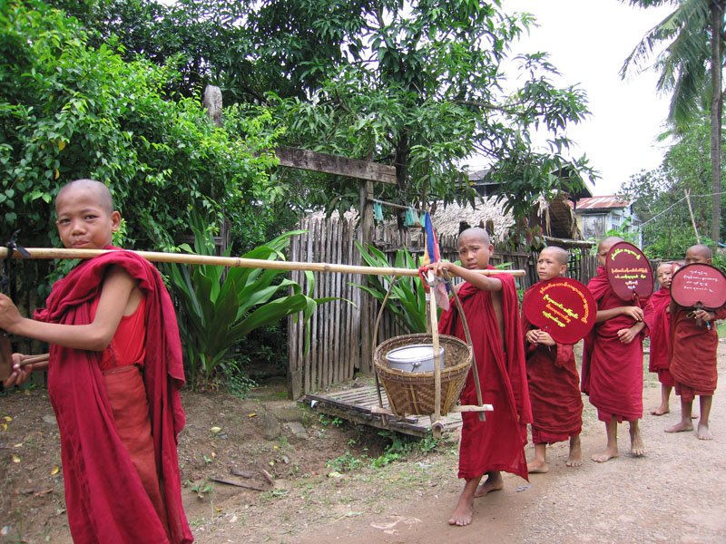 young novice monks
