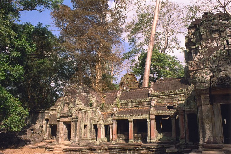IMG0015.jpg