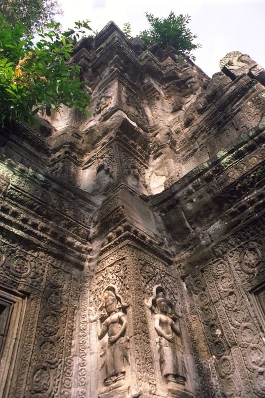 IMG0009.jpg