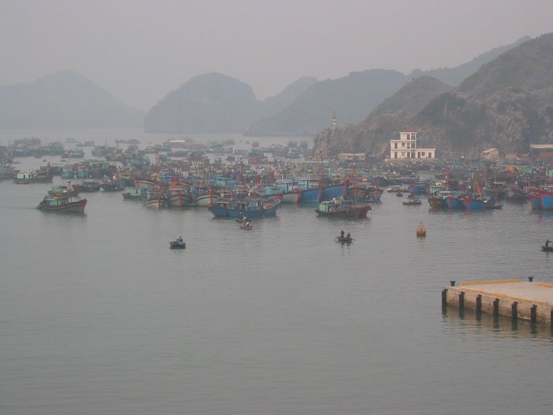 all the fishing boats coming back at dawn.  they fish at night in the sea.
