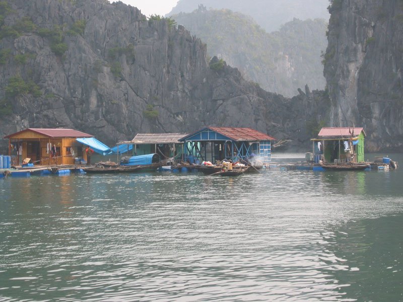 IMG0157.jpg