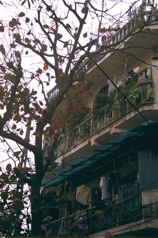 IMG0097.jpg